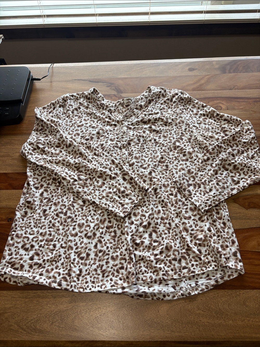 Leopard-Print Cream Long-Sleeve V-Neck Top